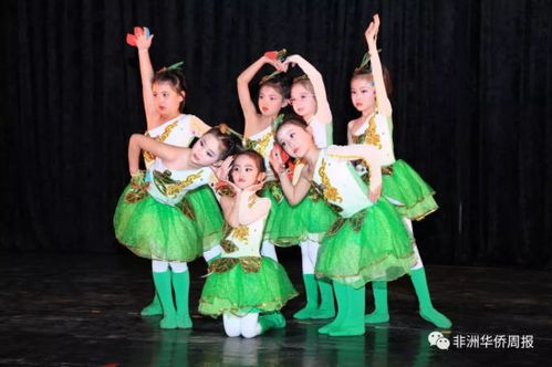 小紅花舞蹈學校老師,小紅花舞蹈培訓